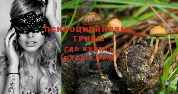 кокаин колумбия Алзамай