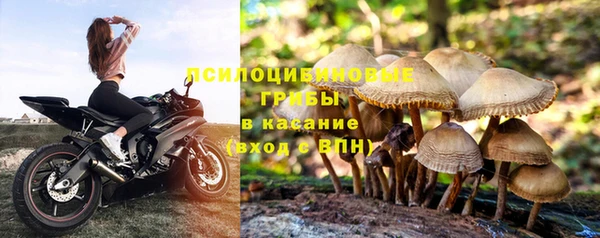стафф Алексин