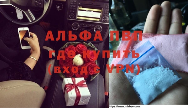 стафф Алексин