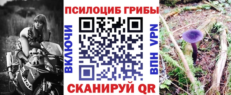 Псилоцибиновые грибы Cubensis  где купить наркоту  Кизел 